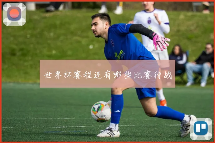 世界杯赛程还有哪些比赛待战