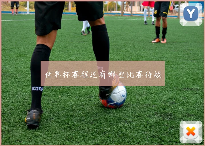 世界杯赛程还有哪些比赛待战