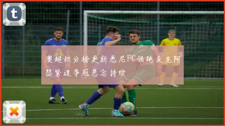 澳超积分榜更新悉尼FC领跑麦克阿瑟紧追争冠悬念持续